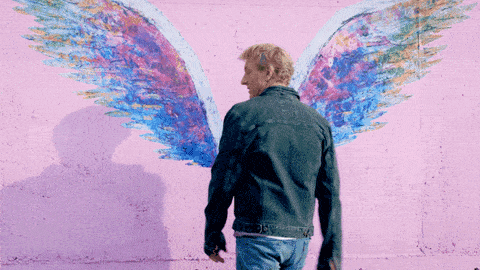 Angel Investor