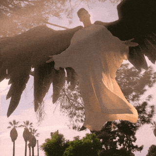 Angel Investor